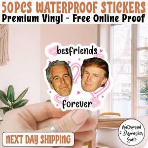 50pcs Best Friends Trump Epstein Sticker, Anti Trump Sticker, Political Satire Sticker, Elite Island Sticker, Protest Sticker, Anti Maga