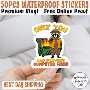 Only You Can Prevent Dumpstrer Fires Funny Raccoon Sticker, Sarcastic Vinyl Laptop Decal, Trash Panda Humor, Gift for Coworker