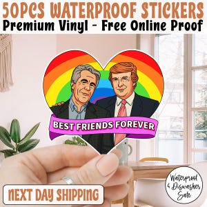 Best Friends Forever Anti Trump Sticker/Car Magnet, Political Sticker, Anti-Trump, Anti-GOP, Epstein Awareness Stickers, Political Protest