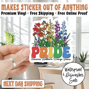 Pride LGBT  Removes Stubborn Orange Stains Sticker/Car Magnet, Pride Month LGBTQ Sticker, Funny Anti Trump LGBTQ Sticker, Pride Sticker