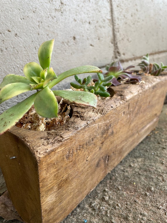 20+ Wooden Succulent Planter