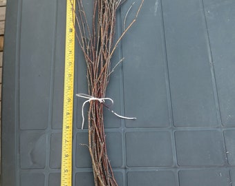 May include: A bundle of thin, brown twigs tied together with a white string. The twigs are about 12 inches long and are arranged in a fan shape. A yellow measuring tape is visible in the background.