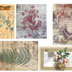 Cartes de journal (Floral/Plantes) Téléchargement numérique
