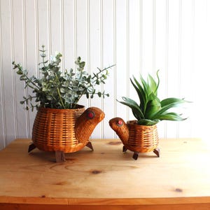 May include: Two woven wicker turtle planters, one large and one small, sit on a wooden table. The turtles have red eyes and wooden feet. The larger turtle holds leafy green plants, while the smaller one contains a different green plant.