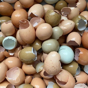 8oz Organic Crushed & Baked Egg Shells | Calcium Source For Gardening and Livestock
