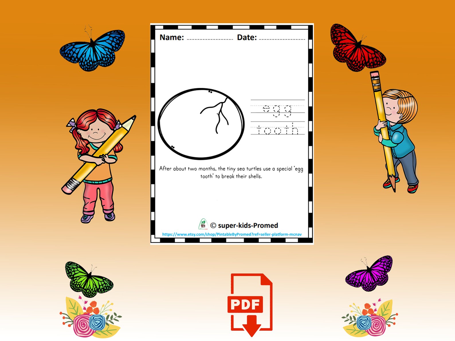 Life Cycle of a Sea Turtle for Kids Printable Reader,life Cycles and ...