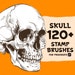 see more listings in the Procreate stamps section