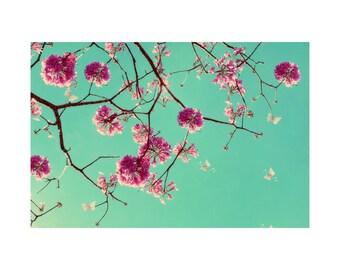 ARIZONA TEA POSTER