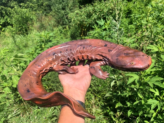 Hellbender cryptobranchus Alleganiensis Model, Life Sized, 3D Print,  Handpainted. 