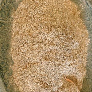 Bobinsana | Master Plant Teacher | Organic + Wild Harvest in Peru | Heart-Opener, Lucid Dreaming, Trauma Healing 100% Pure - 4oz (113 grams)