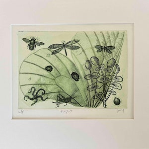 Solar Etching Prints