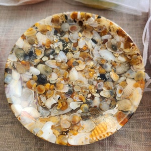 Seashell Soap Dish/Coaster/Spoon Rest