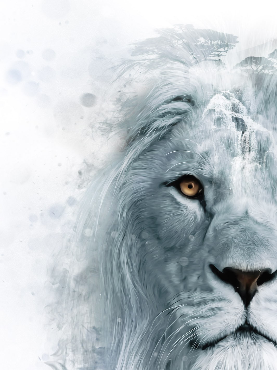 Lion in Snow / White Lion in Wildness,animals Print, Snow Animals, Room ...