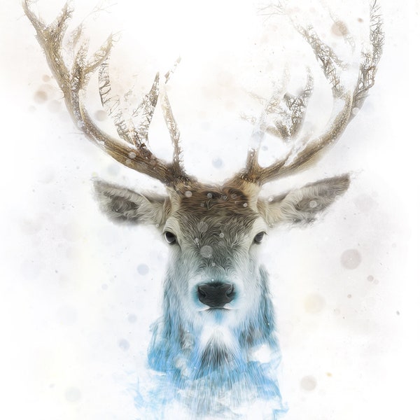 Deer / Stag, Illustration of a Deer, Animals Print, Snow Animals, Room Poster, Animal Deer