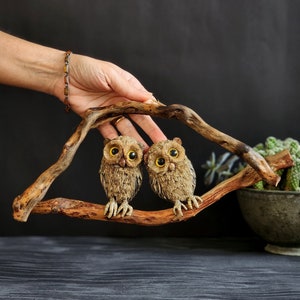 Unique handmade paper mache owl wall hanger for your home, Decorative driftwood art object