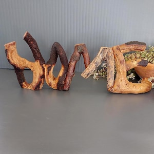 Può includere: Scultura in legno che compone la parola "WAVE". La scultura è realizzata in legno naturale con varie tonalità di marrone e beige. Il legno ha una superficie ruvida e strutturata e una forma organica unica.