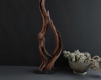 Raw wood branch sculpture for aesthetic room decoration, Unique aesthetic natural abstract sculpture decorative object