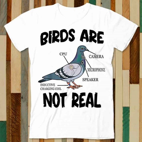 Pigeon Birds Are Not Real Funny Bird Spies Conspiracy Theory T