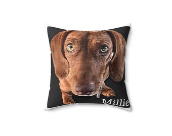 Könnte beinhalten: Ein brauner und tanner Dackel mit großen braunen Augen, der direkt in die Kamera schaut. Der Hund befindet sich auf einem schwarzen Hintergrund mit dem Namen "Millie" in weißer Schrift unter dem Hund.