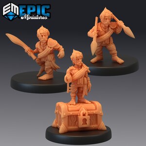 Gnome Pirate - D&D - Resin 3D Printed