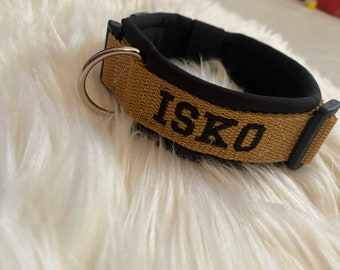 Fully padded dog collar