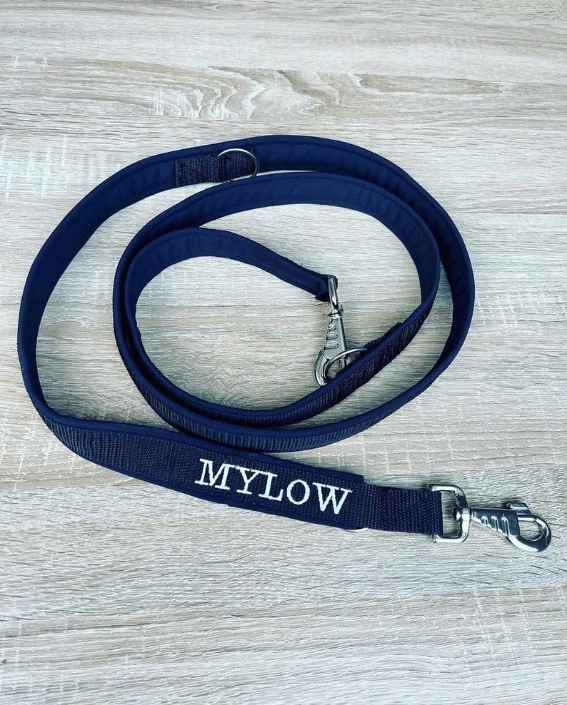 Personalized dog leash image 1