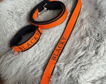 Collar and leash set