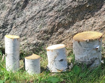 Birch pillars