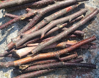 May include: A pile of thin, brown sticks with a reddish hue, arranged on a gray and brown textured rock surface.