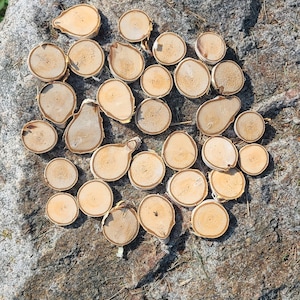 Birch slices
