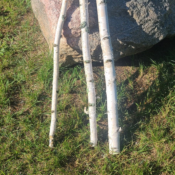 Birch poles