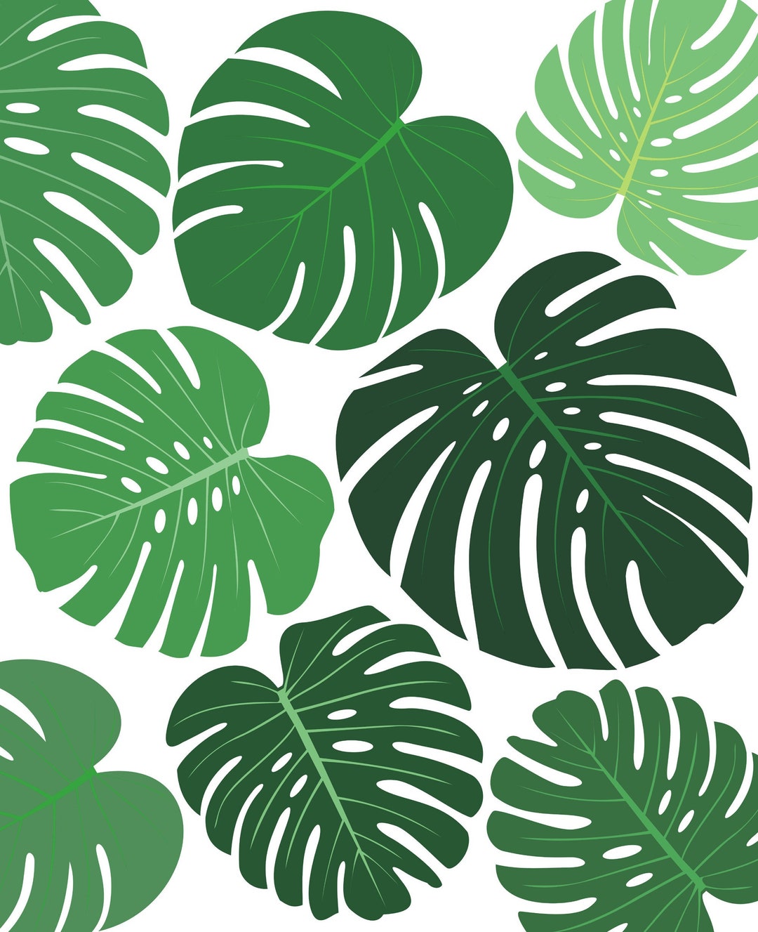Drawing of Monstera Deliciosa Leaves Wall Art Decoration Etsy