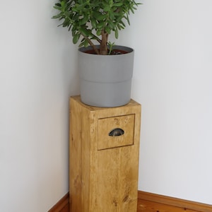 May include: A wooden plant stand with a drawer and a small potted plant on top. The plant stand is a light brown color and the drawer has a metal handle. The plant is a jade plant with green leaves.