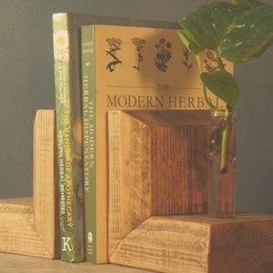 Plantsman WOODEN BOOKENDS With Stem VASE - Propagation Station -  Anthophile, Horticulturalist - Apothecary Book Stand Accessories
