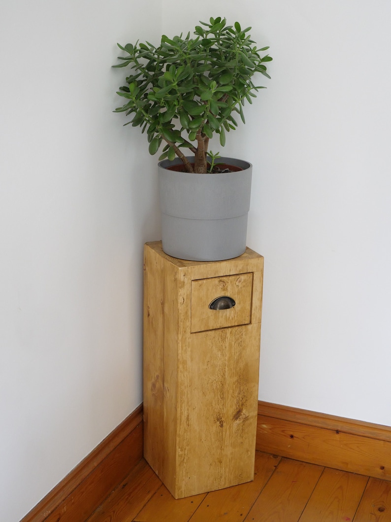 May include: A wooden plant stand with a drawer and a small potted plant on top. The plant stand is a light brown color and the drawer has a metal handle. The plant is a jade plant with green leaves.