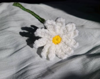 Crochet daisy