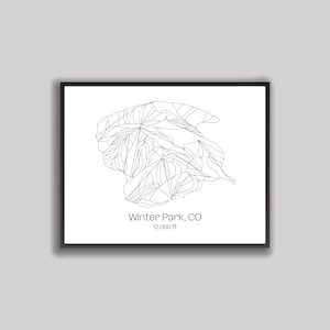 Ski Hill Map Digitaldruck - Winter Park, Colorado (Digital Print)