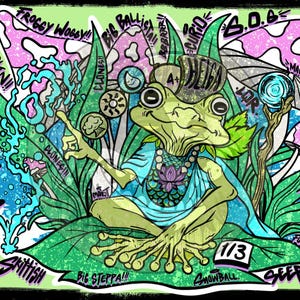 May include: A colorful illustration of a frog wearing a crown and a blue tunic, surrounded by plants and mushrooms. The artwork includes text such as "BIGMANA VALVE ONLY" and "FROGGY WOSSY!!" on a light green background.