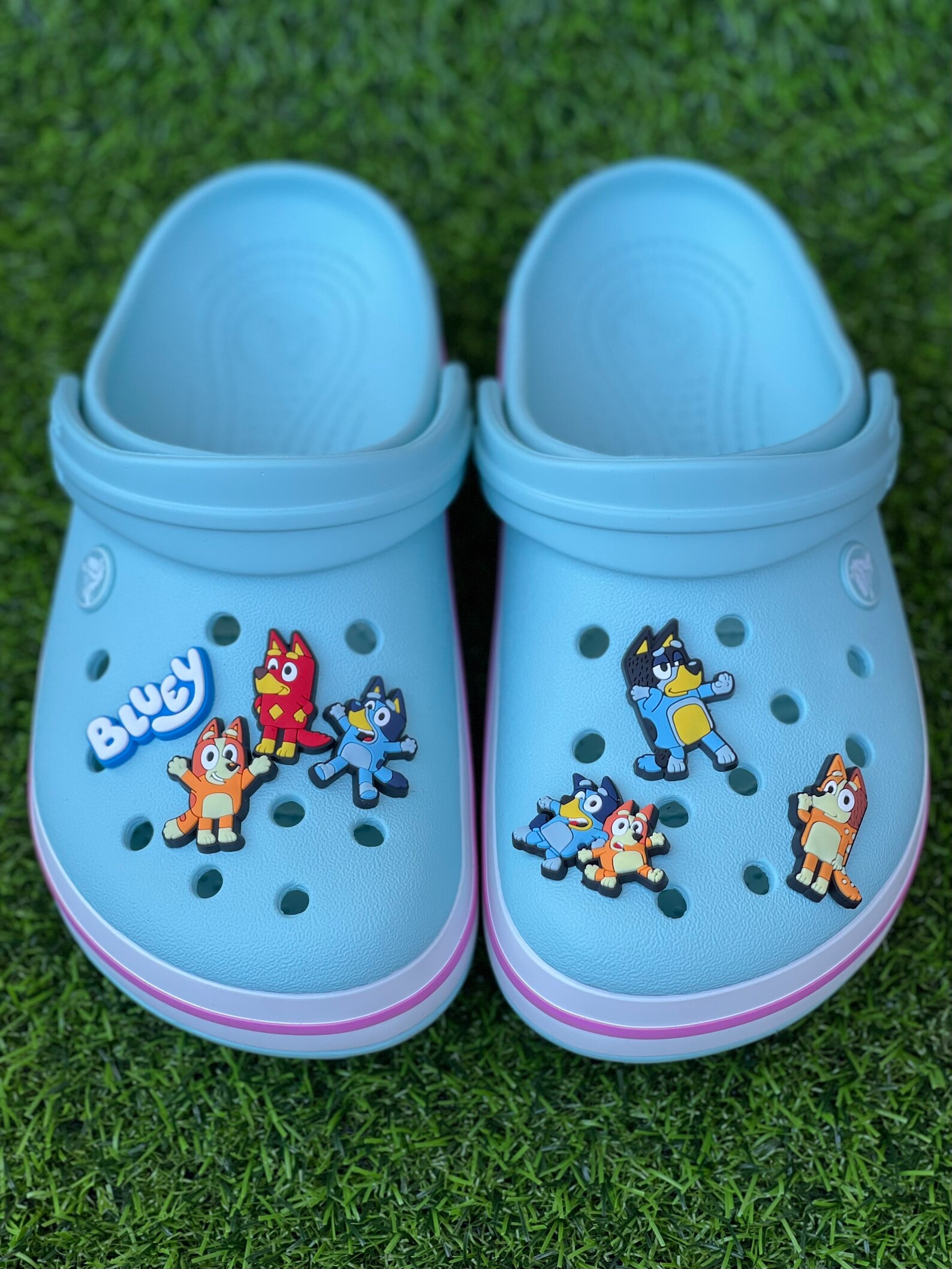 Blue Dog Shoe Charms Friends & Family Shoe Charms Shoes Etsy