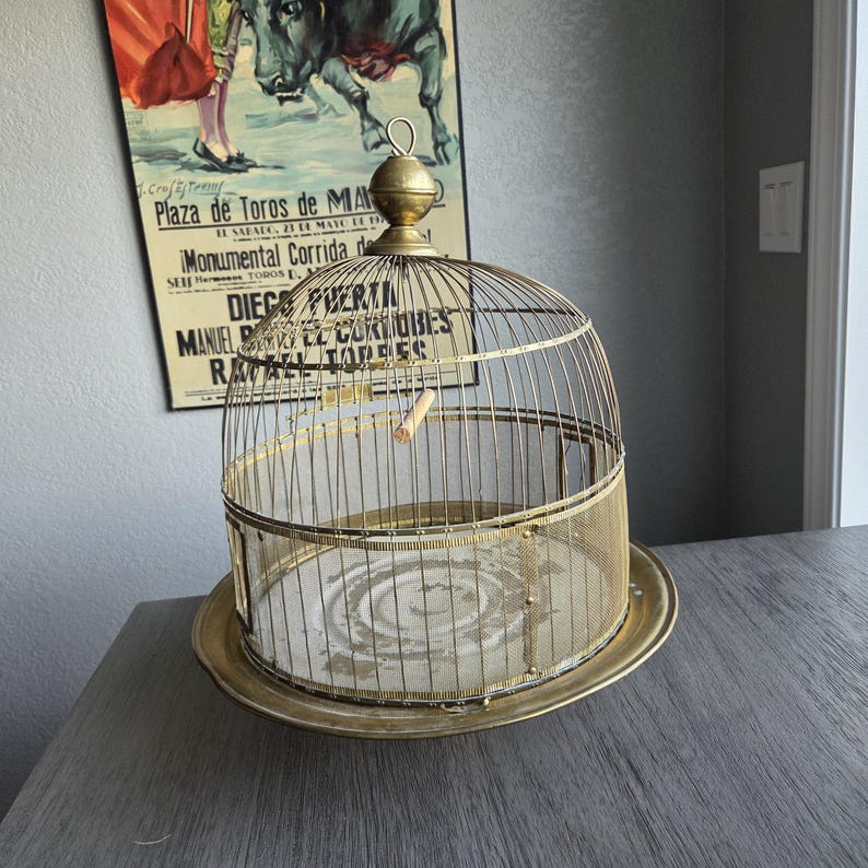 May include: A vintage brass birdcage with a domed top and a circular base. The cage features vertical bars and a small perch inside. The cage is displayed on a gray surface, with a vintage poster in the background.