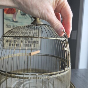May include: A vintage-style, gold-colored birdcage with a domed top and a small wooden perch inside. The cage has a hinged door and fine mesh sides. The cage is being held open by a hand.
