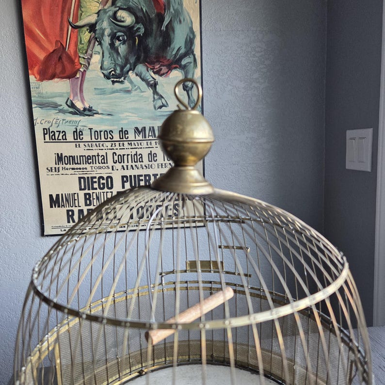 May include: A decorative, vintage-style birdcage with a brass finish. The cage has a domed top and a perch inside. A vintage poster of a bullfight is in the background.