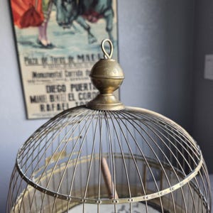 May include: A vintage brass birdcage with a domed top and fine wire mesh. The cage features a decorative finial and a wooden perch inside. A vintage poster is in the background.