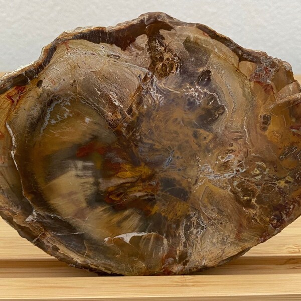 Petrified Wood Slab 15 oz, 6"x4.7"x0.4" 1 of a Kind Piece High Quality Polished Natural Stone Plate - Fossilized Wood Slice, Home Decor