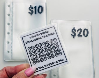 Minimalist 100 Envelope Savings Challenge Binder – Janet Greta Budgets