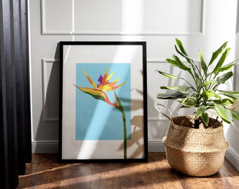 Bird of Paradise A4,A3,A2 art print, instant download file, colorful illustration, home decor cute art, modern art flower print