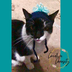 Crochet Beanie Hat for Cats