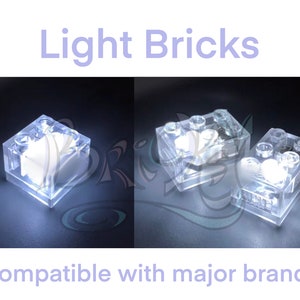 May include: Two clear plastic light-up building bricks. The bricks are compatible with major brands. The text "Light Bricks" is at the top of the image and the text "Compatible with major brands" is at the bottom of the image.