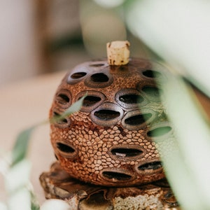 Natural Banksia Pod Essential Oil Diffuser- Small