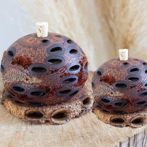 May include: Two decorative, spherical objects with a dark brown, textured surface and numerous oval openings. Each has a light-coloured cork stopper. The objects sit on a matching base, displayed on a wooden surface.